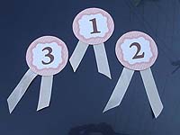 Vintage Pony Birthday theme Badge